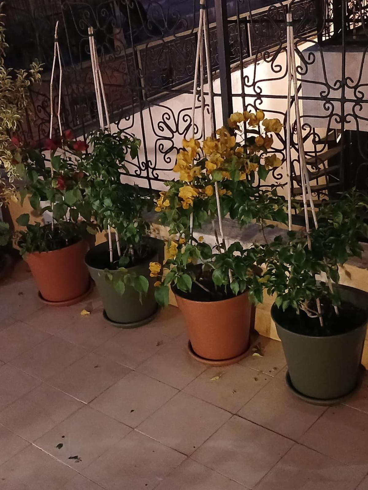 Riad Dantella Μαρακές Εξωτερικό φωτογραφία